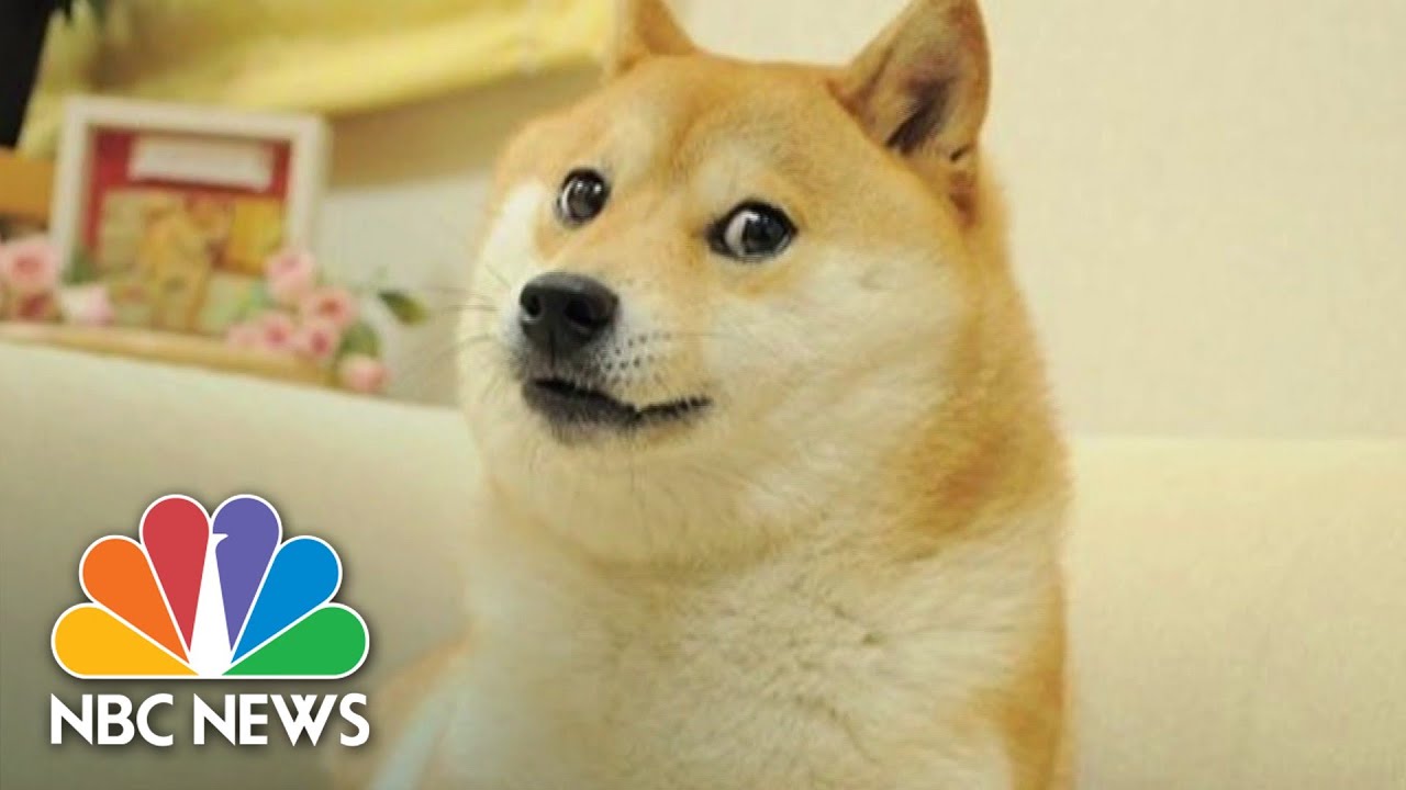 Iconic Dogecoin Dog Meme To Be Auctioned Off As NFT