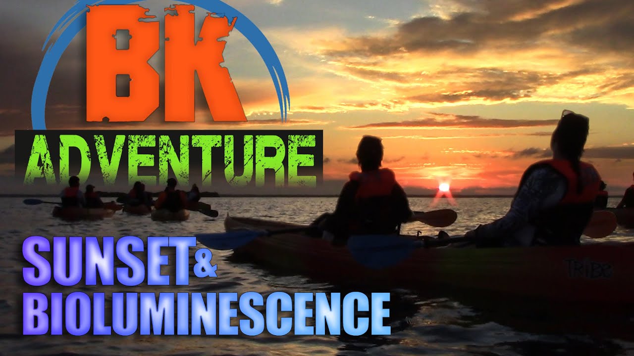 The Best Bioluminescence Kayak Tour. BK Adventure