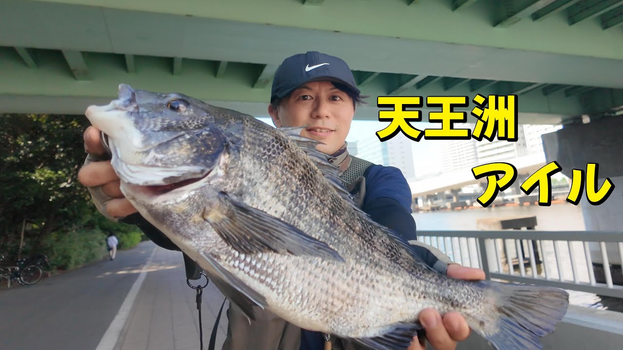 [ヘチ釣り] KKRの釣り大会に参加！天王洲アイルヘチ釣り
