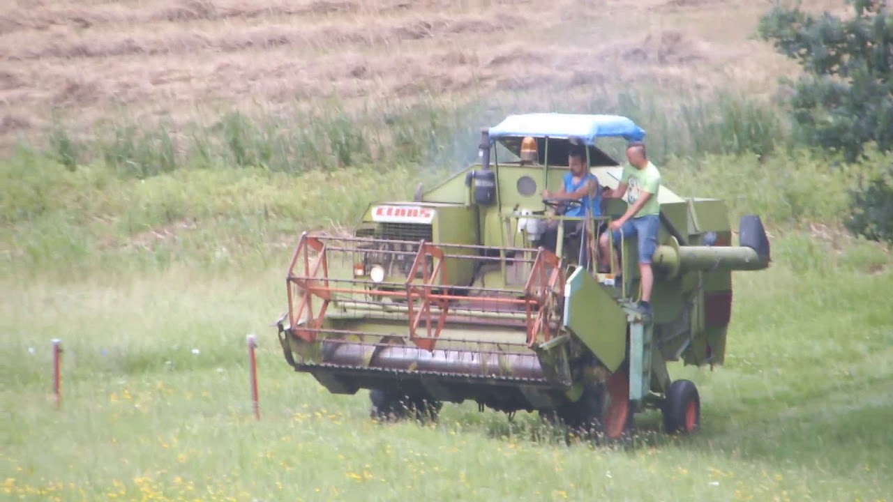 Żniwa pszenicy 2018 - Claas Consul / Ursus C 330
