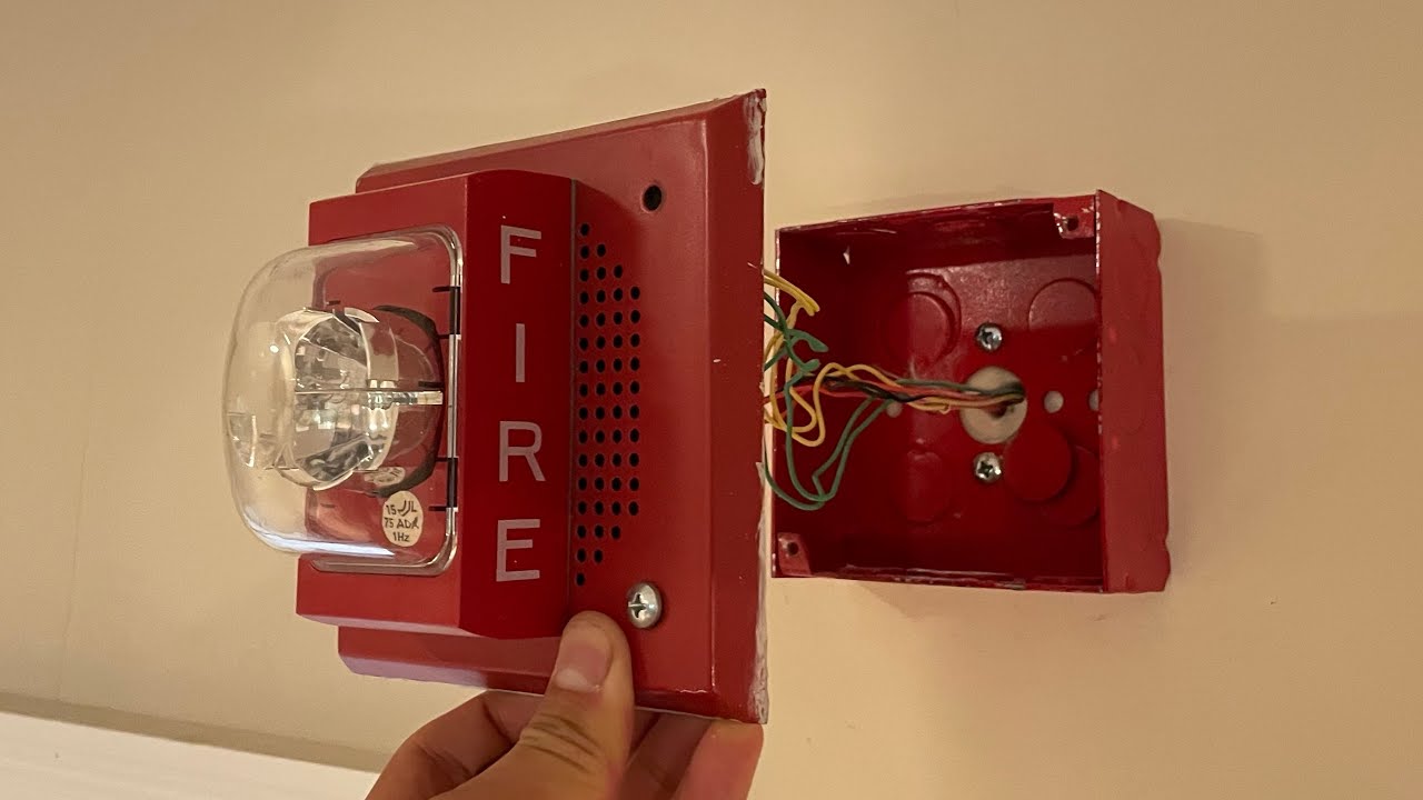 Installing Siemens I-SM Speaker/Strobes to Replace System Sensor Devices | Fire Alarm Down/Upgrade?