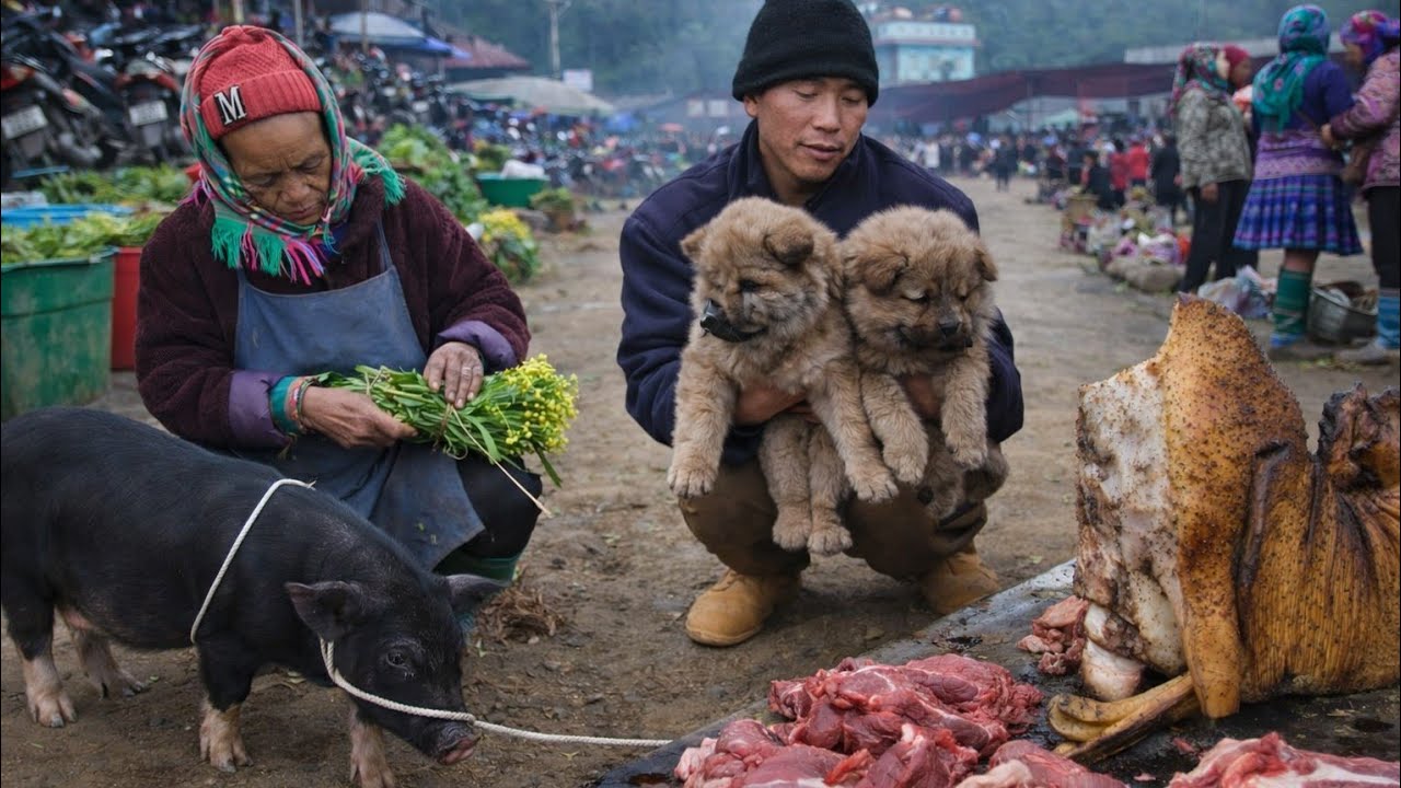 FULL CHỢ LÙNG PHÌNH (lào cai) | Ẩm Thực Hấp Dẫn  - Lợn Bản, Chó H’Mông Và Nông Sản Sạch 