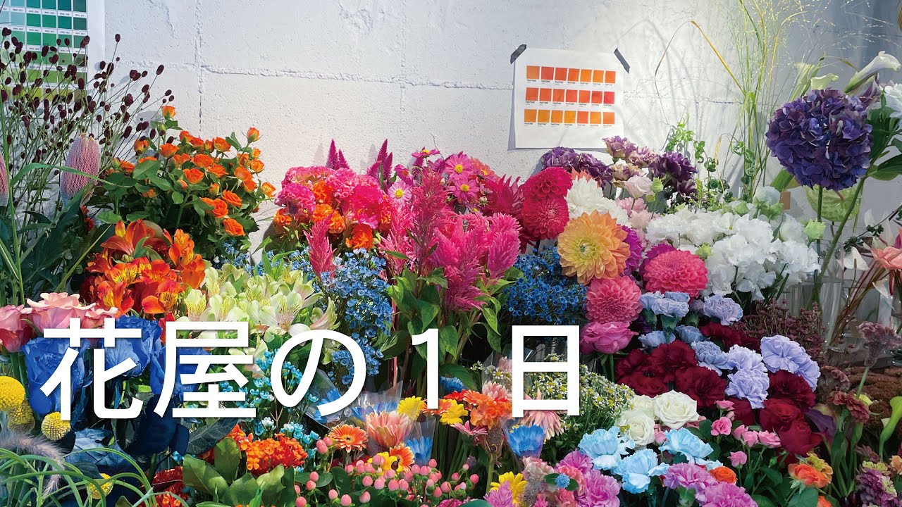 【vlog】花屋の1日　day 1