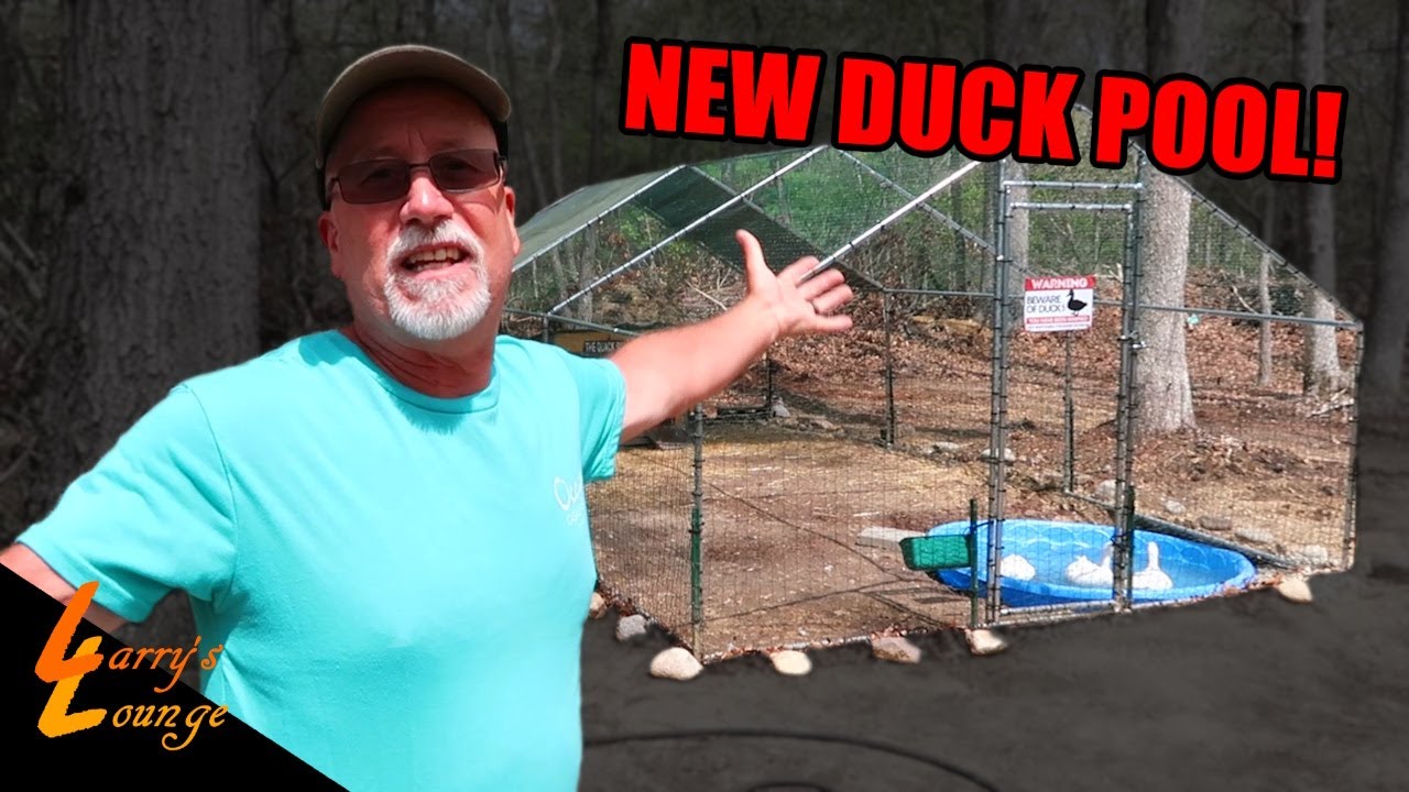 Giving My Ducks a New Pool!