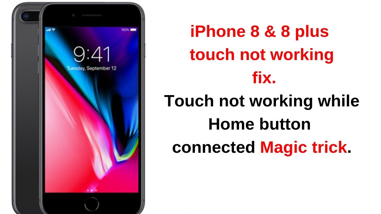 Fix iPhone 8,8plus no touch screen repair!No touch while home button flex connected.