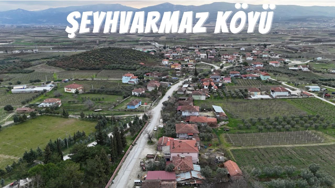 Şeyhvarmaz Köyü-Pamukova/Sakarya