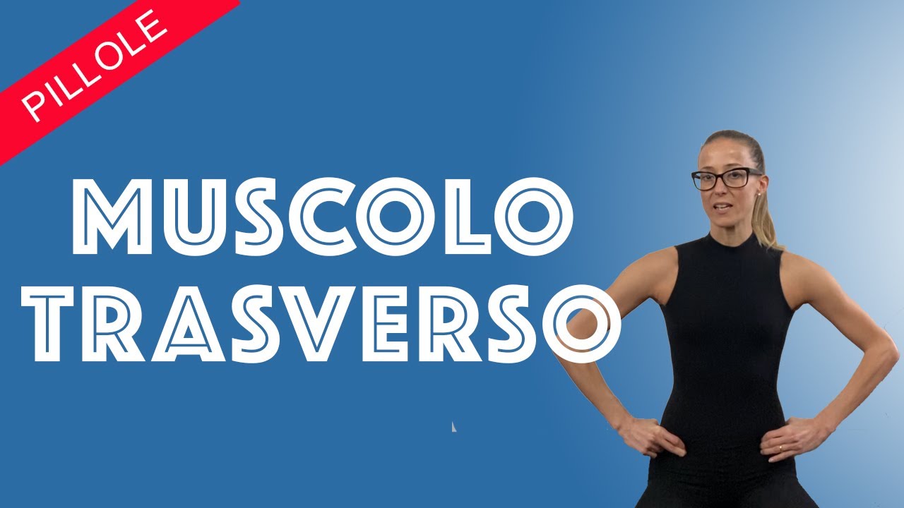 IL MUSCOLO TRASVERSO DELL'ADDOME