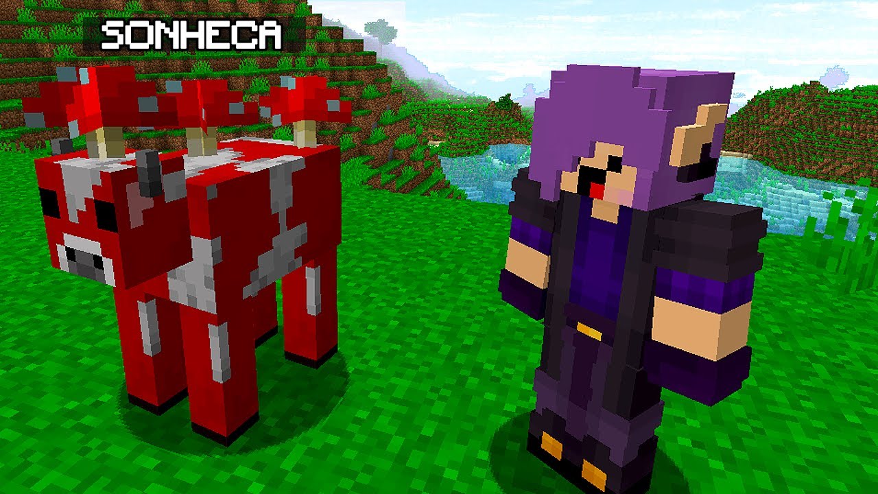 Ele se escondeu tão bem que eu não encontrei! (esconde esconde minecraft)
