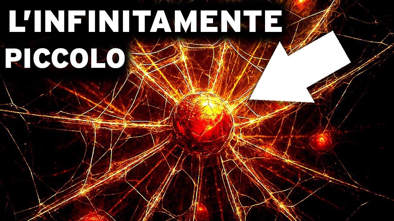 Cosa Vede Davvero il Minutamente Piccolo? | DOCUMENTARIO