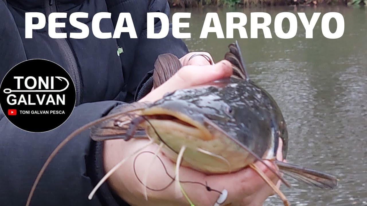 Pesca de Arroyo en Azul 24-06-2023 Bs As #PESCADORES #FISHING #PESCAR #ARROYO