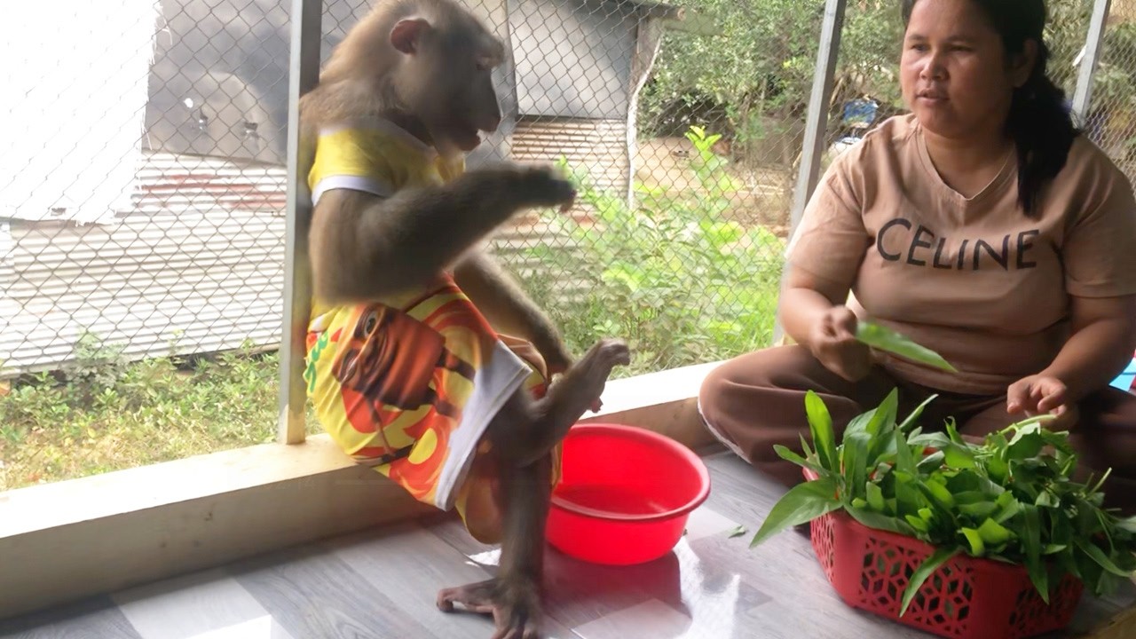 Hilarious Jason Sit Cross Legged Carefree To Assist In Kitchen