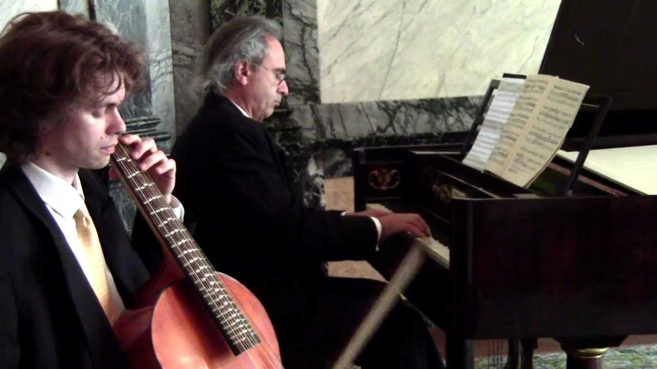 Franz Schubert : Sonata for arpeggione & fortepiano - 1. Allegro moderato