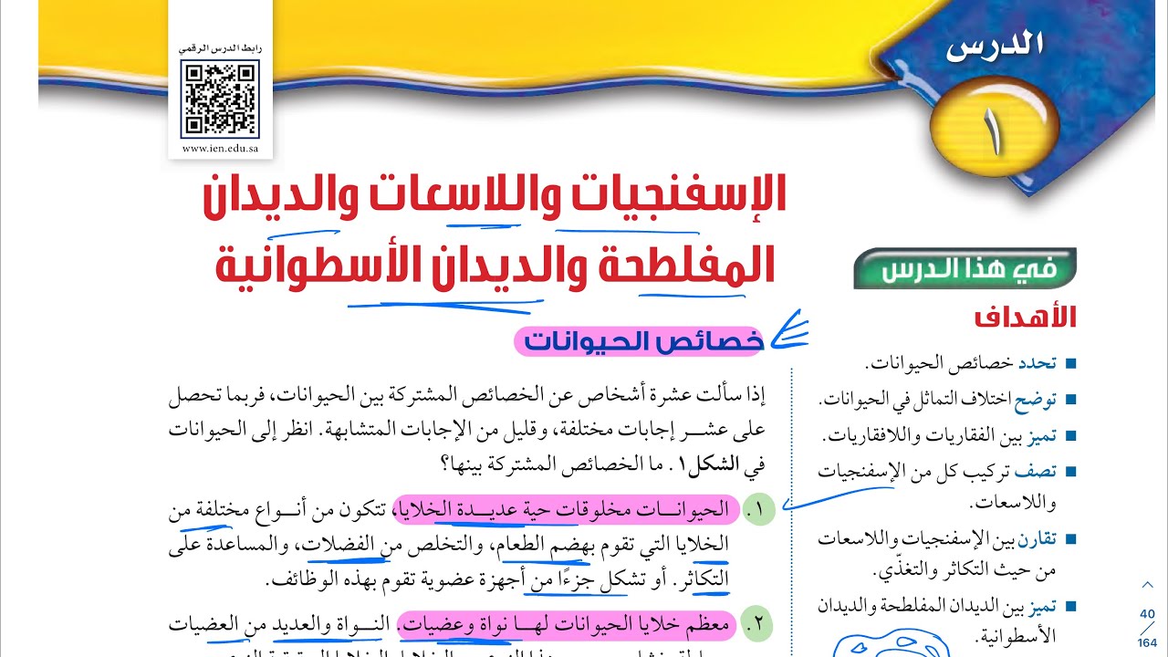الاسفنجيات واللاسعات والديدان المفلطحة والديدان الاسطوانية (١) علوم اول متوسط 1444