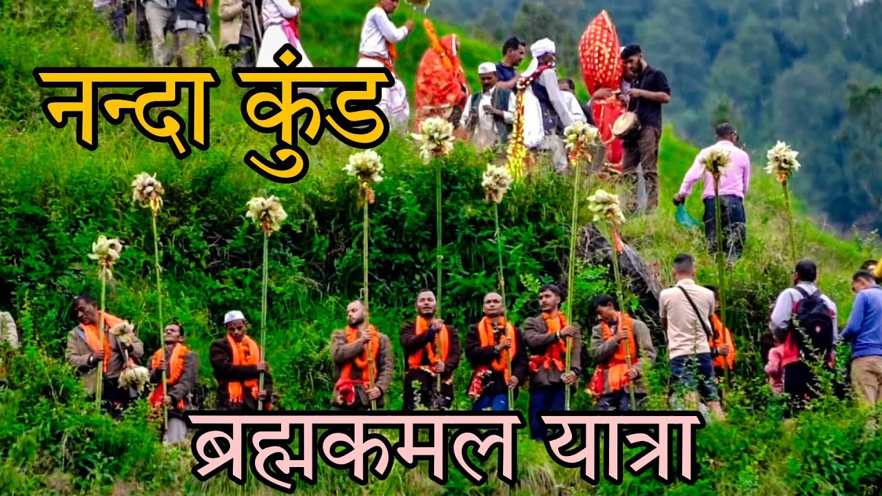 नन्दा कुंड यात्रा !! ब्रह्मकमल यात्रा !!♥️एक प्रसिद्ध नन्दा लोक जात यात्रा !लीती गाँव बागेश्वर में..