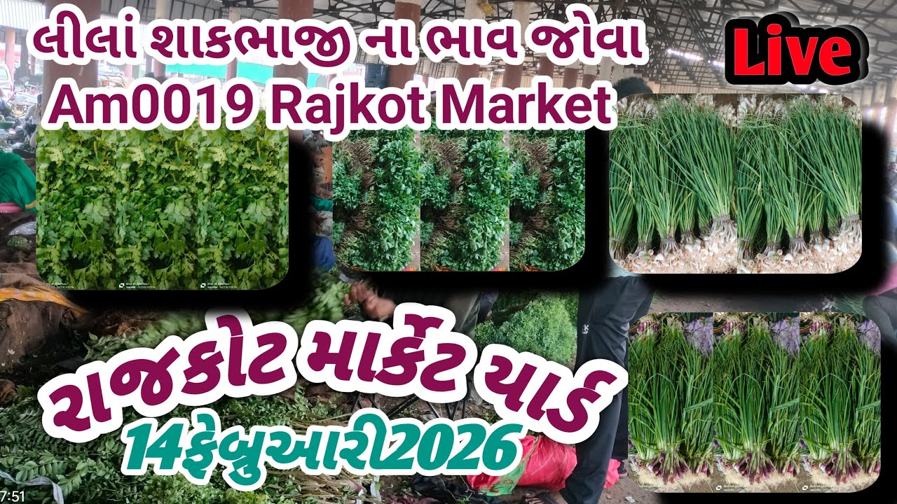 Rajkot masala market 14/02/2026 bhaji masala mandi #rajkot #agriculture #masala 