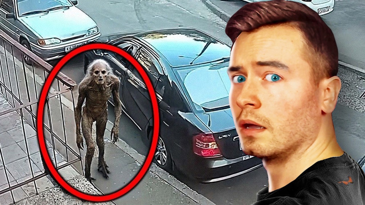 11 VERSTÖRENDE KREATUREN auf DASHCAM aufgenommen!😱