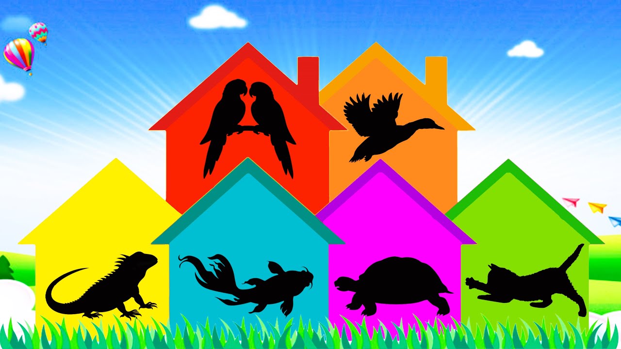 Pets: Tortoise, Duckling, Iguana, Goldfish, Kitten, Lovebird