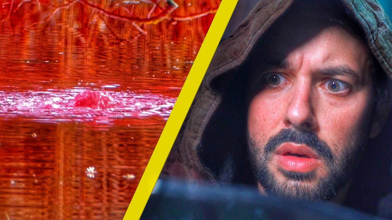 LES EXP&Eacute;RIENCES PARANORMALES DE MES ABONN&Eacute;S #6