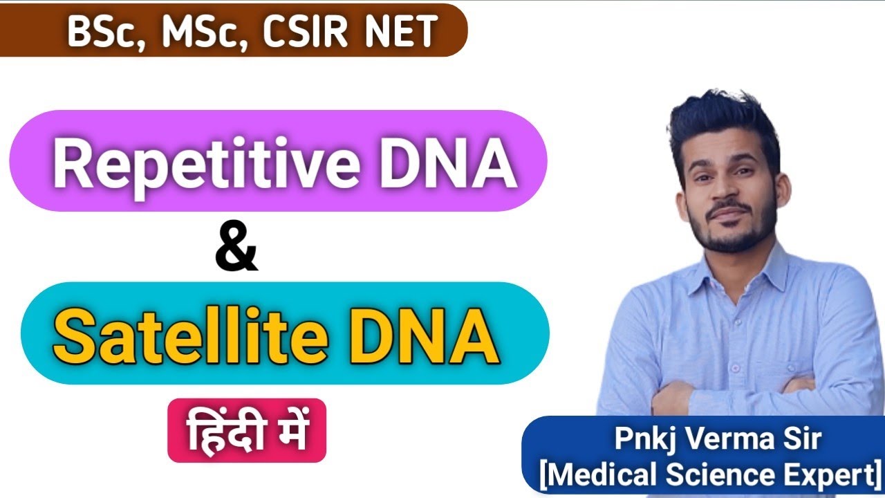 Repetitive DNA and Settelite DNA | हिंदी में | Molecular Genetics