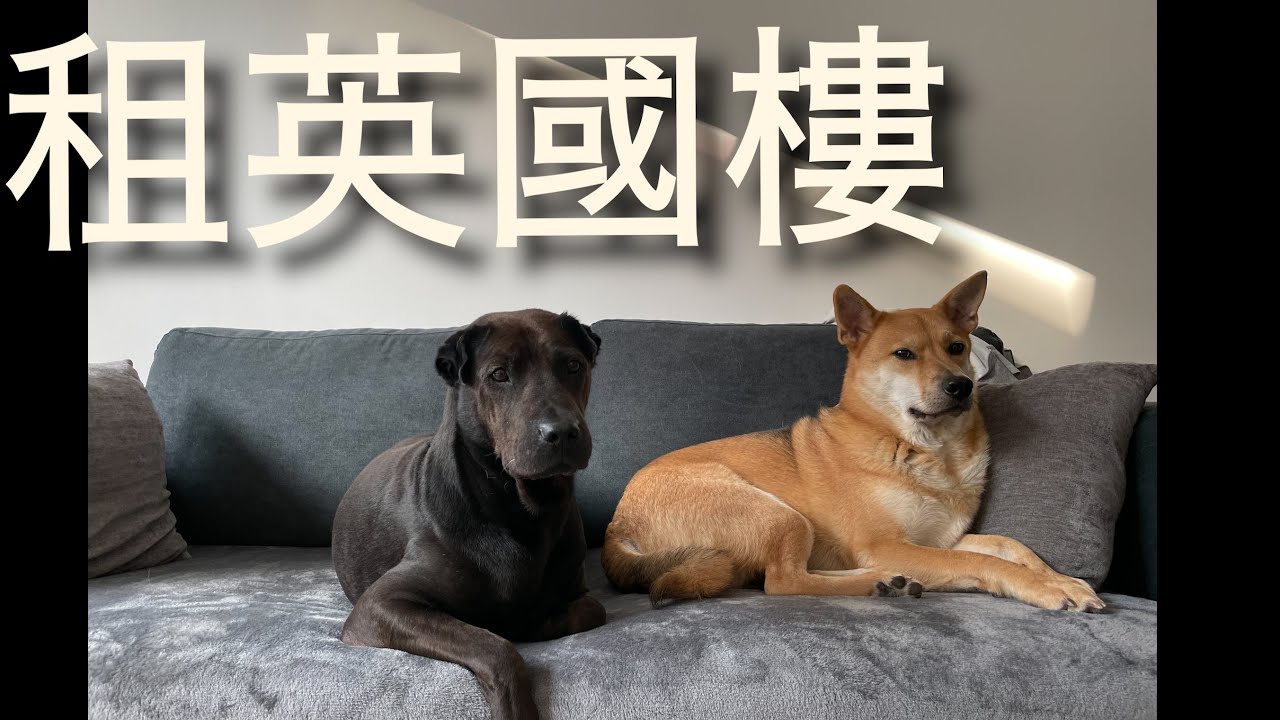 4分鐘分享香港人帶著三隻狗隔空租英國樓。除左 Airbnb 同 私人樓，仲有第三個選擇！