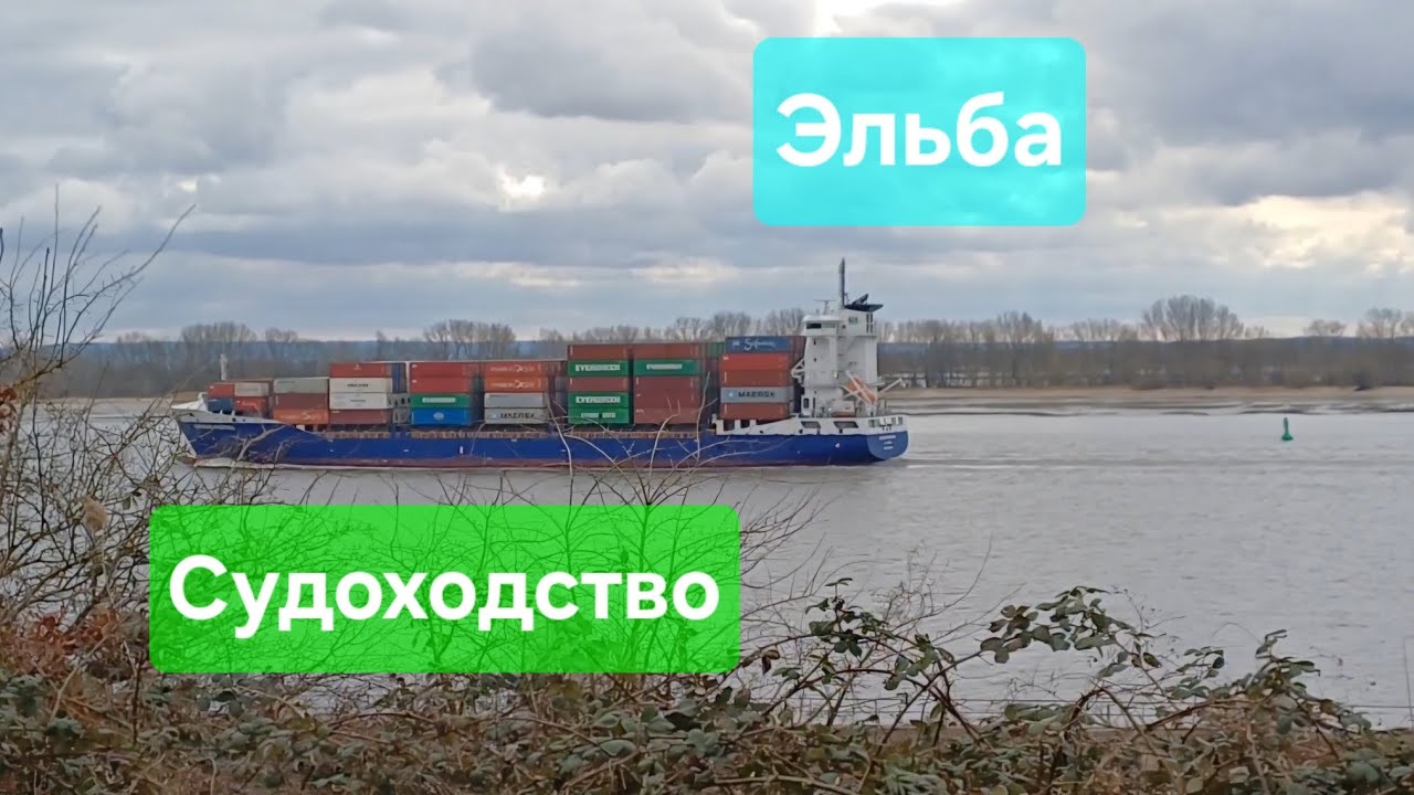 На берегу Эльбы понаблюдали за мимо  проплывающими судами. 