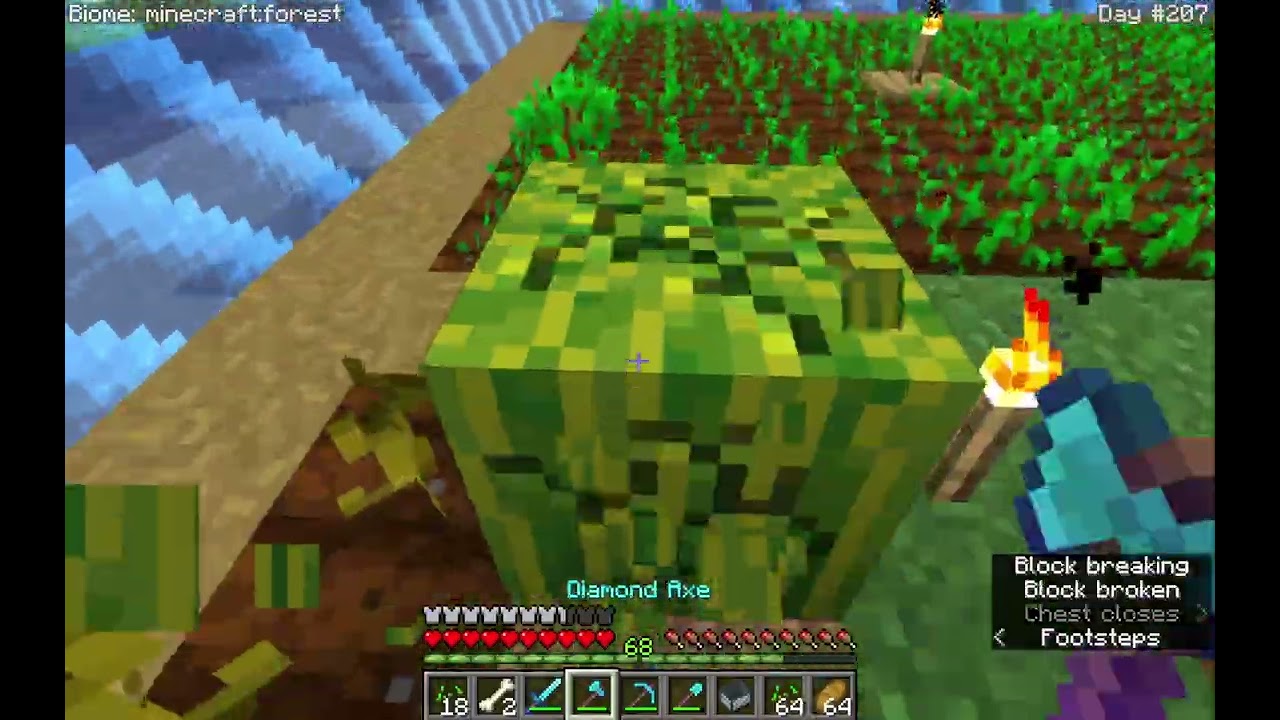 Chill Minecraft Gameplay 45