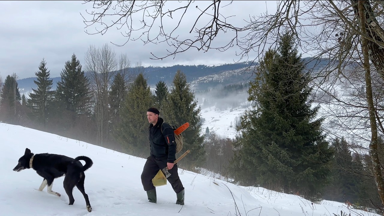 LONG VIDEO! Lifestyle in a mountain village🏔️ collecting firewood, cooking, caring for animals