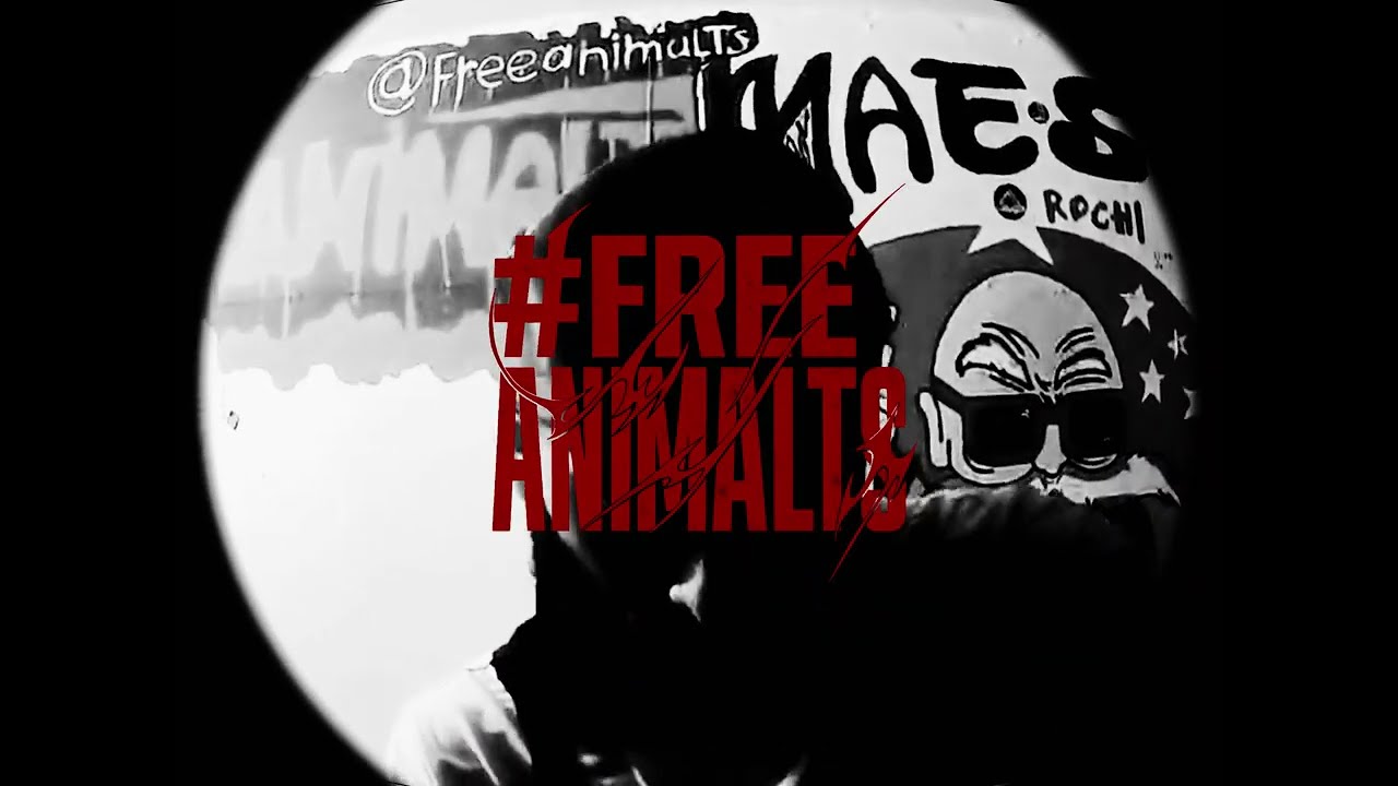 CANTO LO QUE VIVO - ANIMALTS  (Prod. DS x CTA) Visualizer