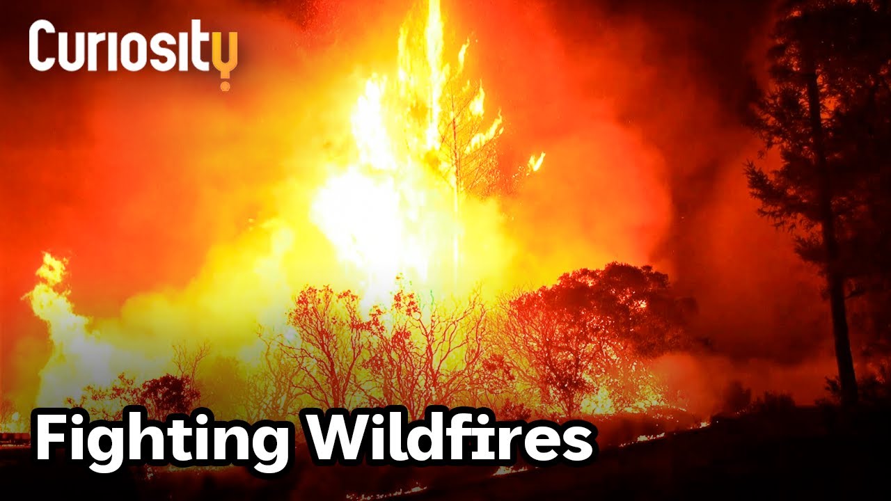 How Can We Prevent Wildfires? | Breakthrough