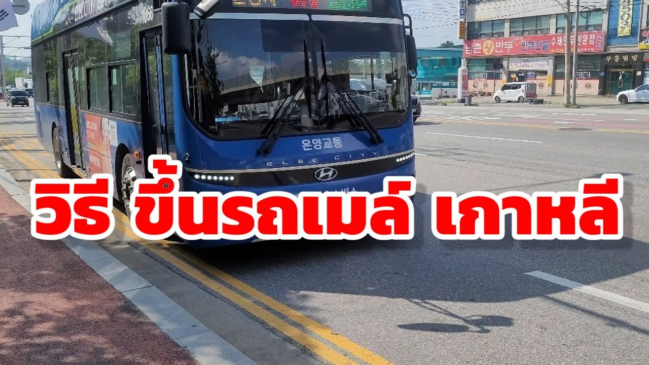 วิธี ขึ้นรถเมล์เกาหลี