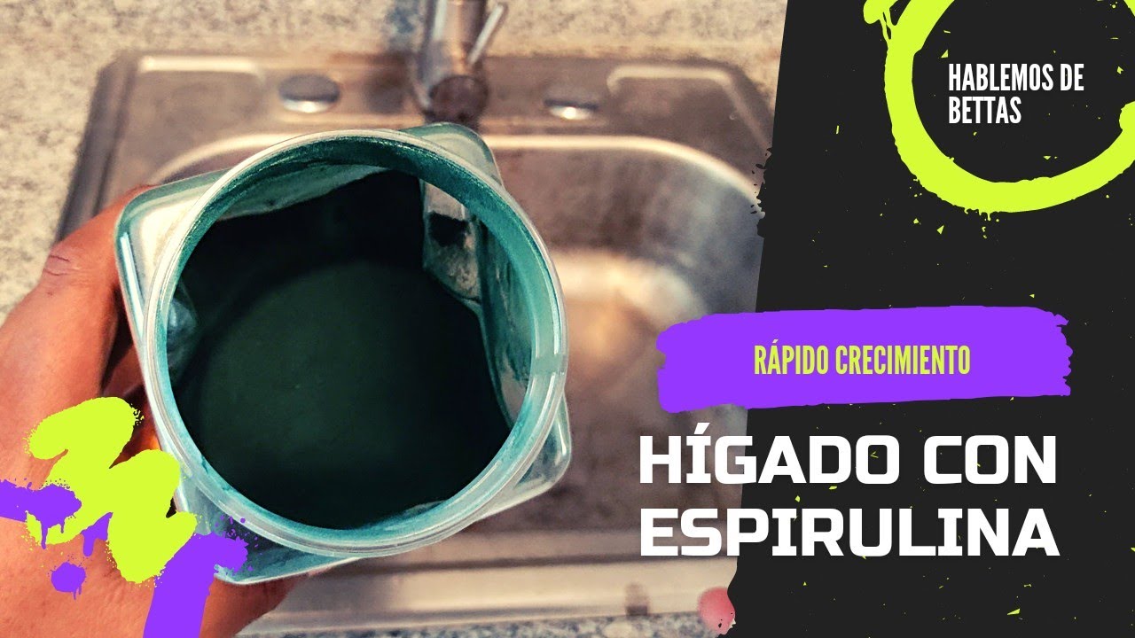 🌟Como PREPARAR HÍGADO de POLLO con ESPIRULINA para BETTAS 👩‍🍳