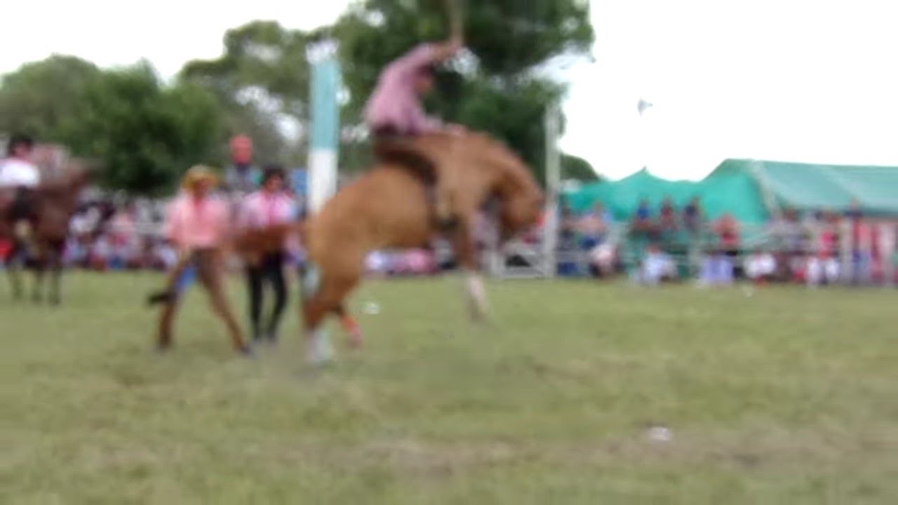 Jineteadas de Caballos Clina Limpia Fiesta Ternero Sauceño 2019 Canal Rural CamperoTv AgroTv Horses