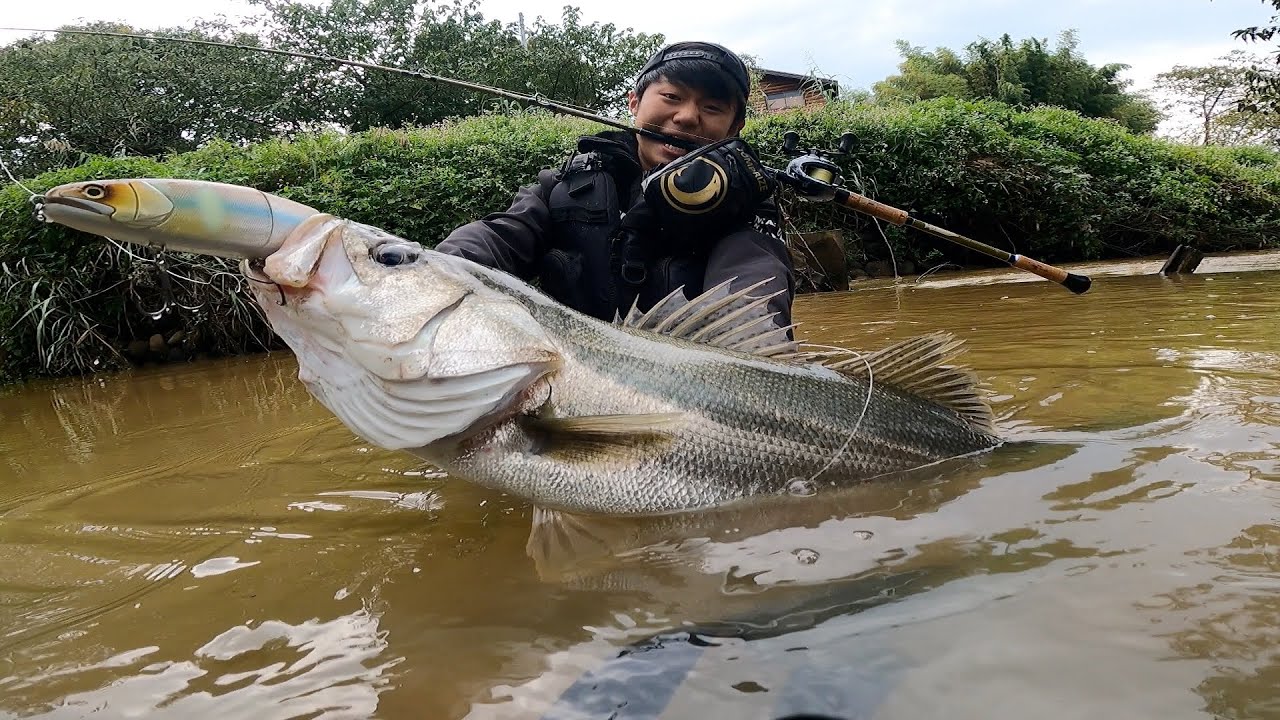 【事件】300mmのルアーが魚体丸出しで襲われた
