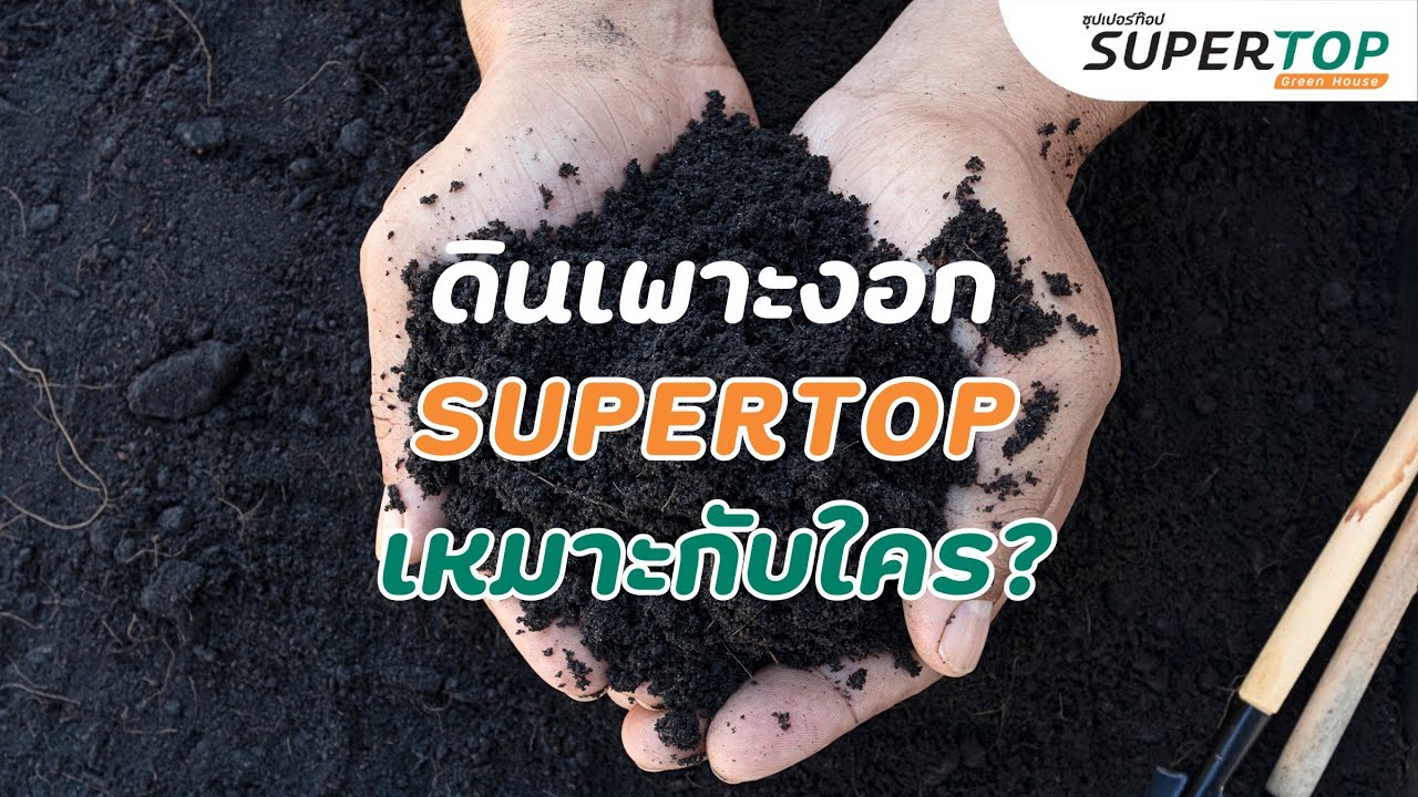ดินเพาะงอก SUPERTOP เหมาะกับใคร?