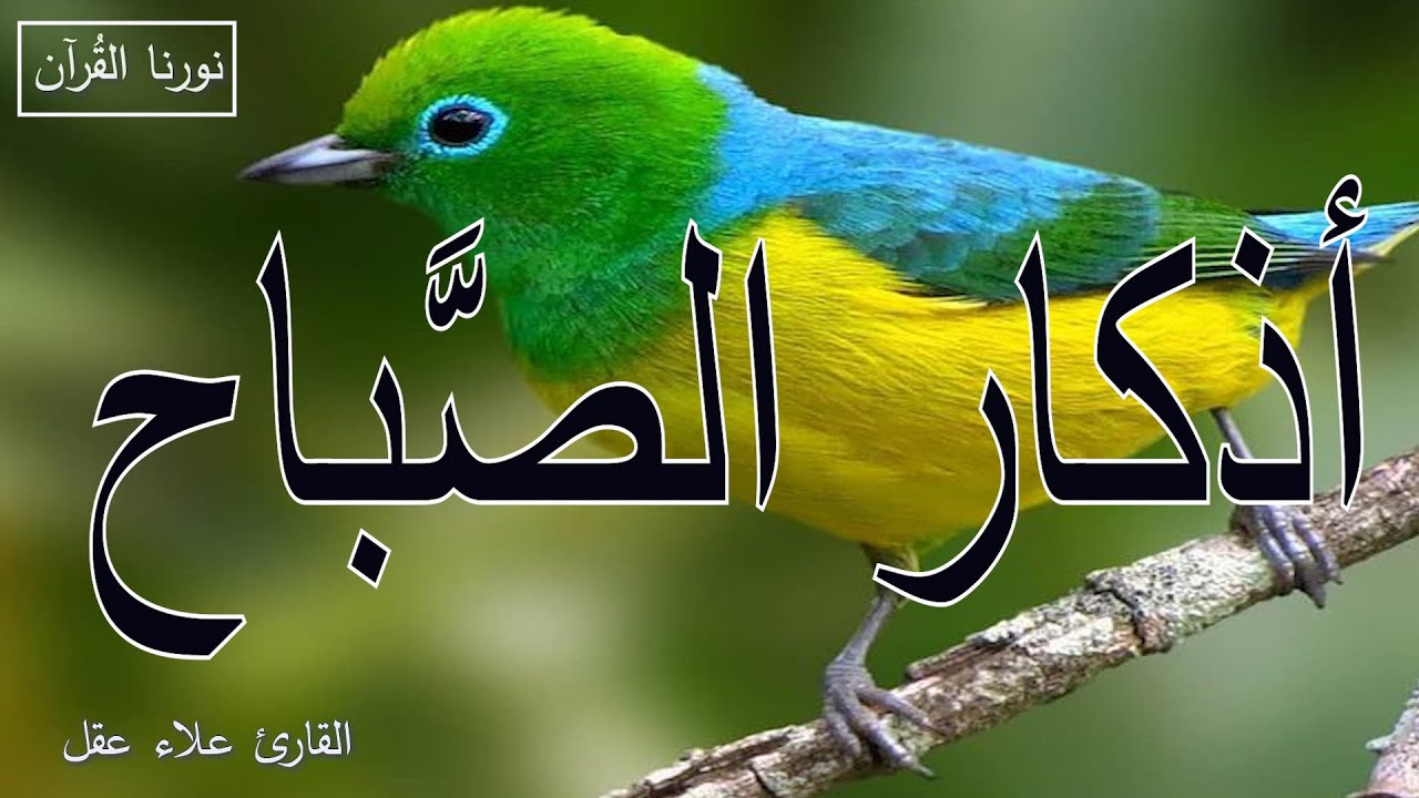 أذكار الصباح | راحة نفسية لا توصف بصوت القارئ علاء عقل | Morning Athkar - Dzkir Pagi