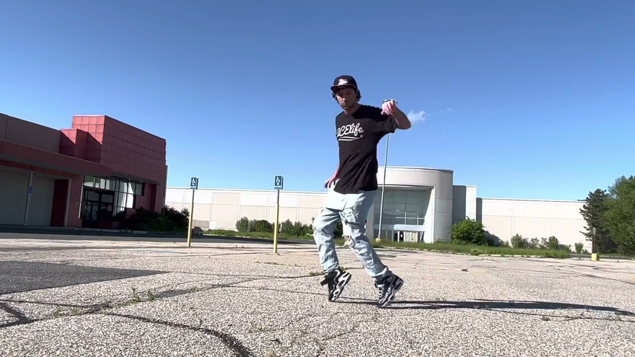 Fly | Insane Dance | Mikro