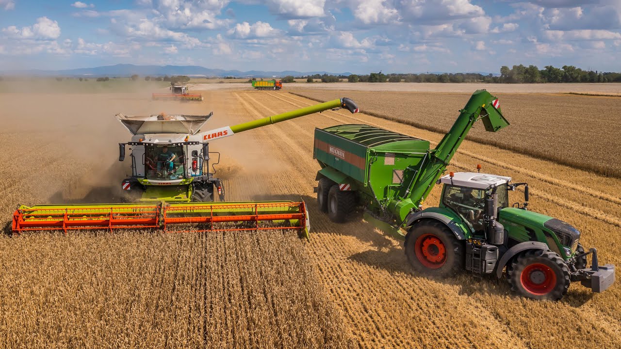 🌾 Žatva 2025 | 2x Claas Lexion 8700, 660 | John Deere T670i | Tatra Phoenix
