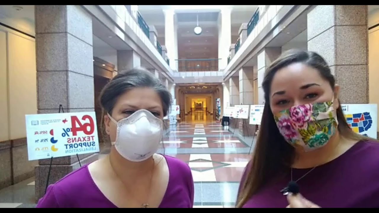 Texas State Capitol Educational Exhibit: Economics of a Regulated Cannabis Market