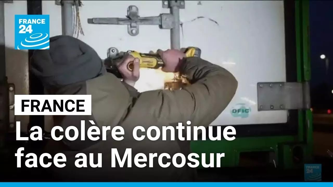 France - Mercosur : les importations passées au crible par les agriculteurs • FRANCE 24