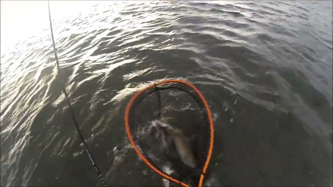 NEW ZEALAND TROUT FISHING LOW LIGHT