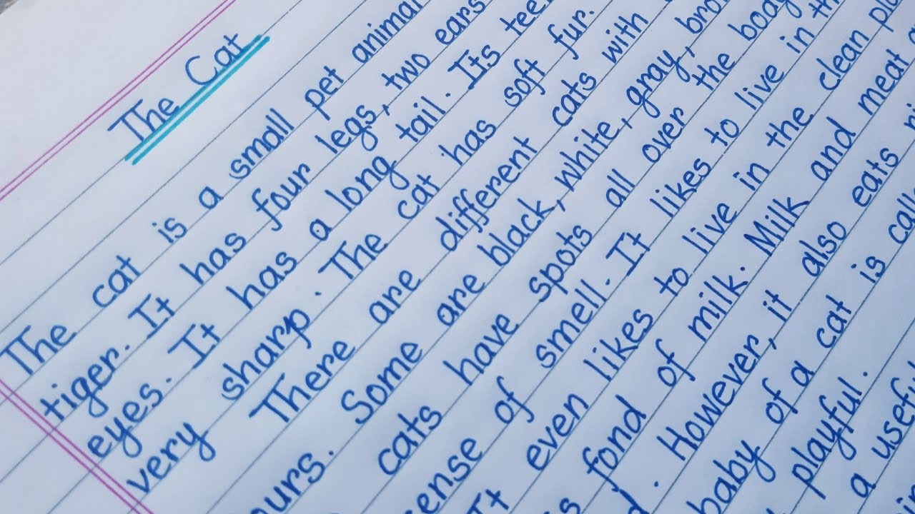 Essay on 