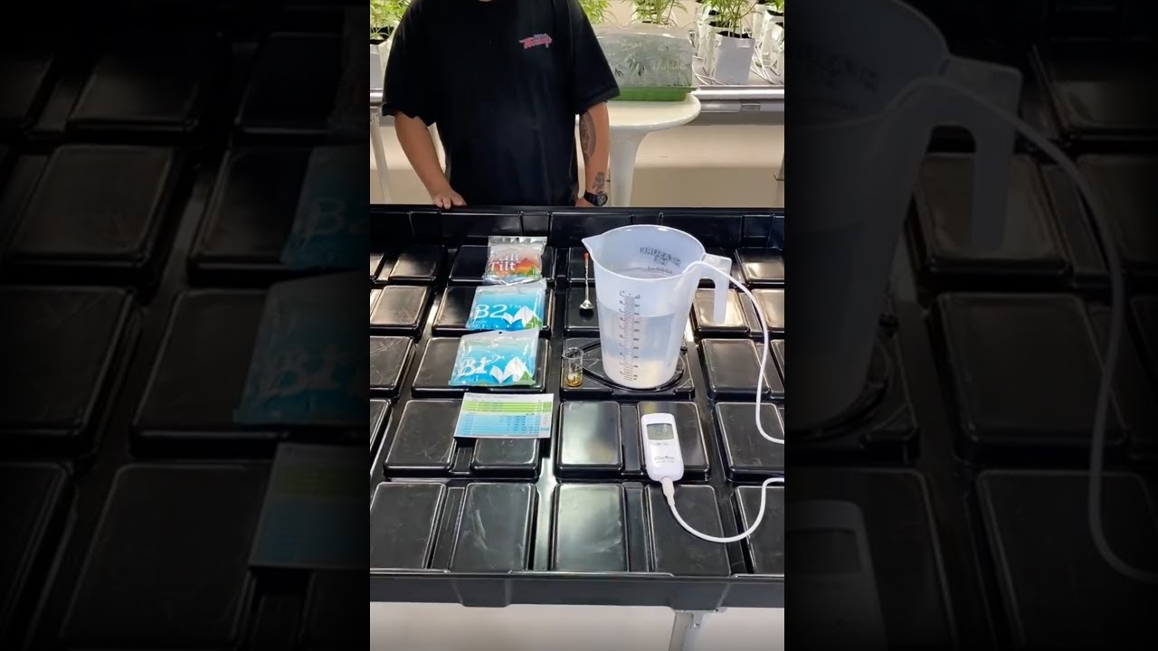 Nutrient Mixing Order &bull; Week 5 Full Tilt&reg; Schedule 🚀
