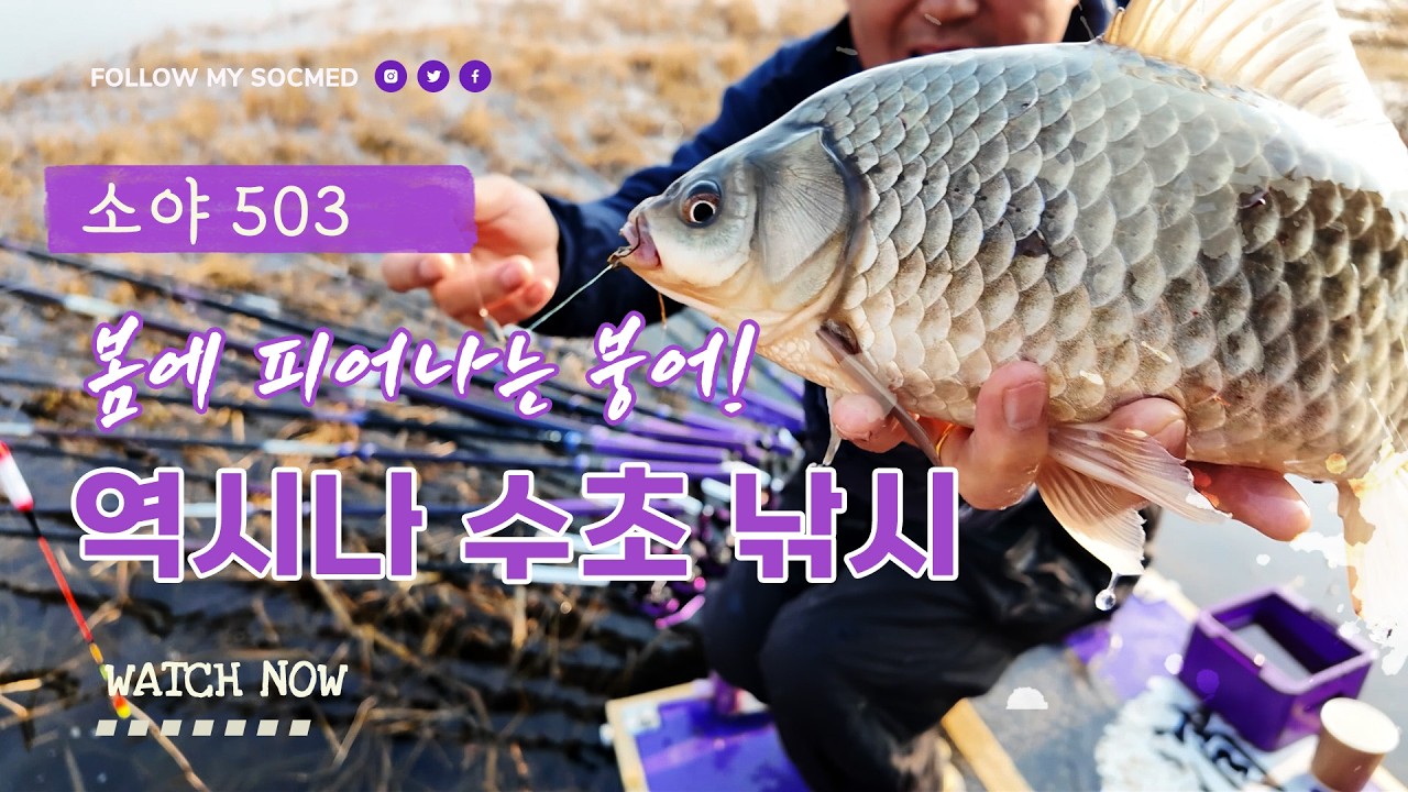 봄에 피어나는 붕어! 역시나 수초 낚시다.