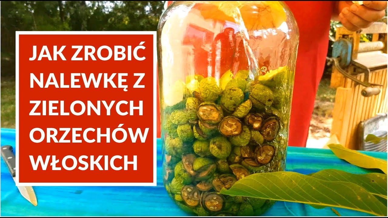 Jak zrobić nalewkę z zielonych orzechów włoskich? Krok po kroku