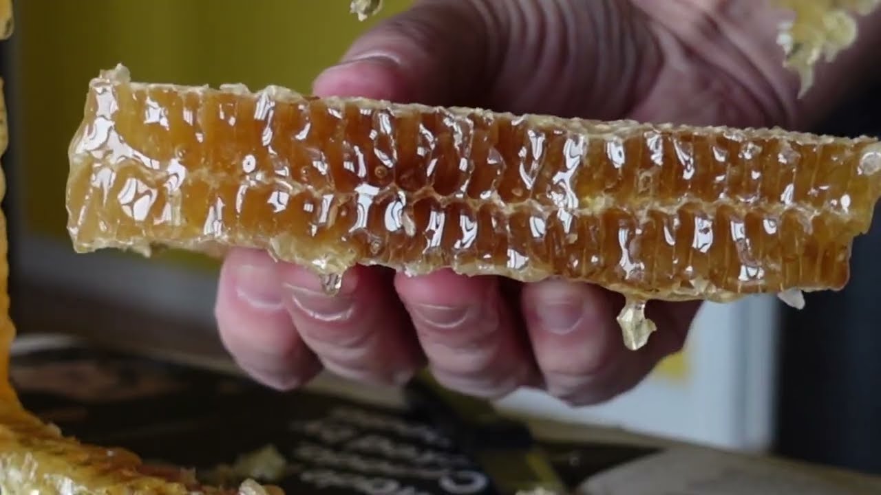 Cutting Comb Honey (Oct 22, 2025)