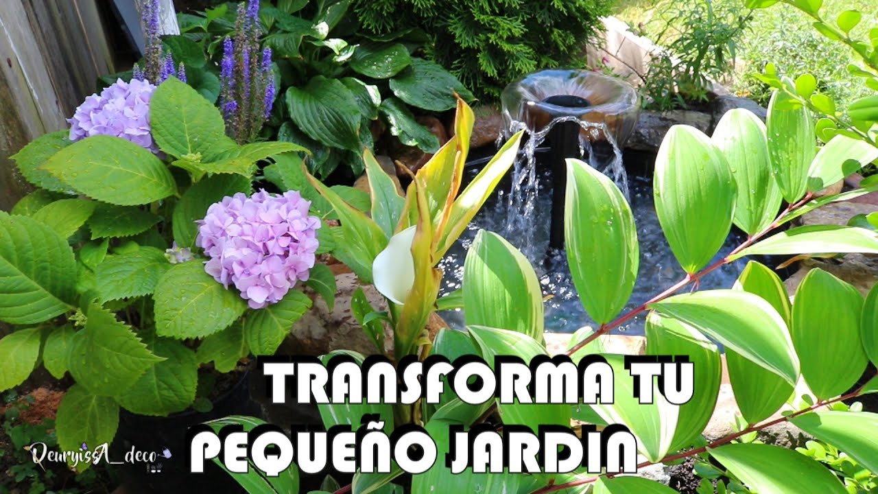 Cómo TRANSFORMAR un Pequeño JARDIN convirtiéndolo en un espacio de relajación. Semana Jardinera #4k
