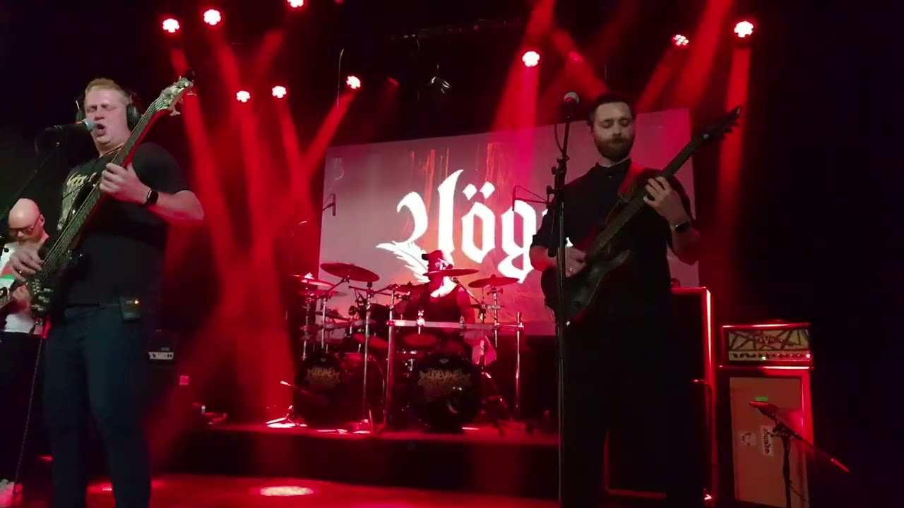 Vögel - Live in Iceland in okt.2025