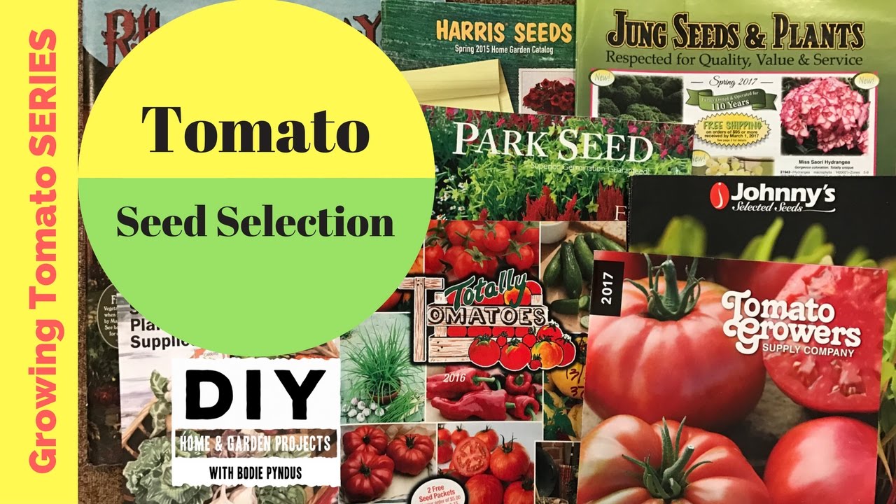 Growing Tomatoes Series, Episode 1 Seed Selection