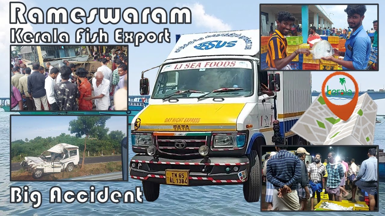 Rameswaram to kerala fish export kerala market review