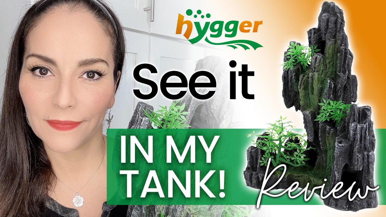 Best Aquarium Decor for Small Tanks? UP CLOSE Look! Hygger Resin Rockery 